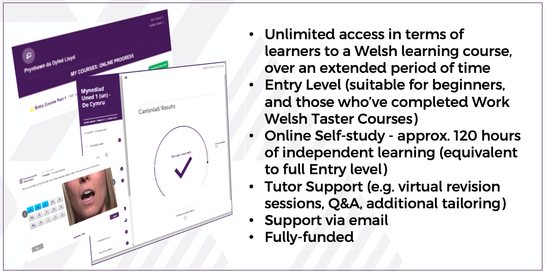 Work Welsh Self-Study