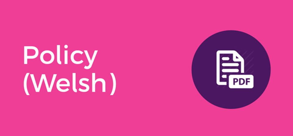 Policy (Welsh)