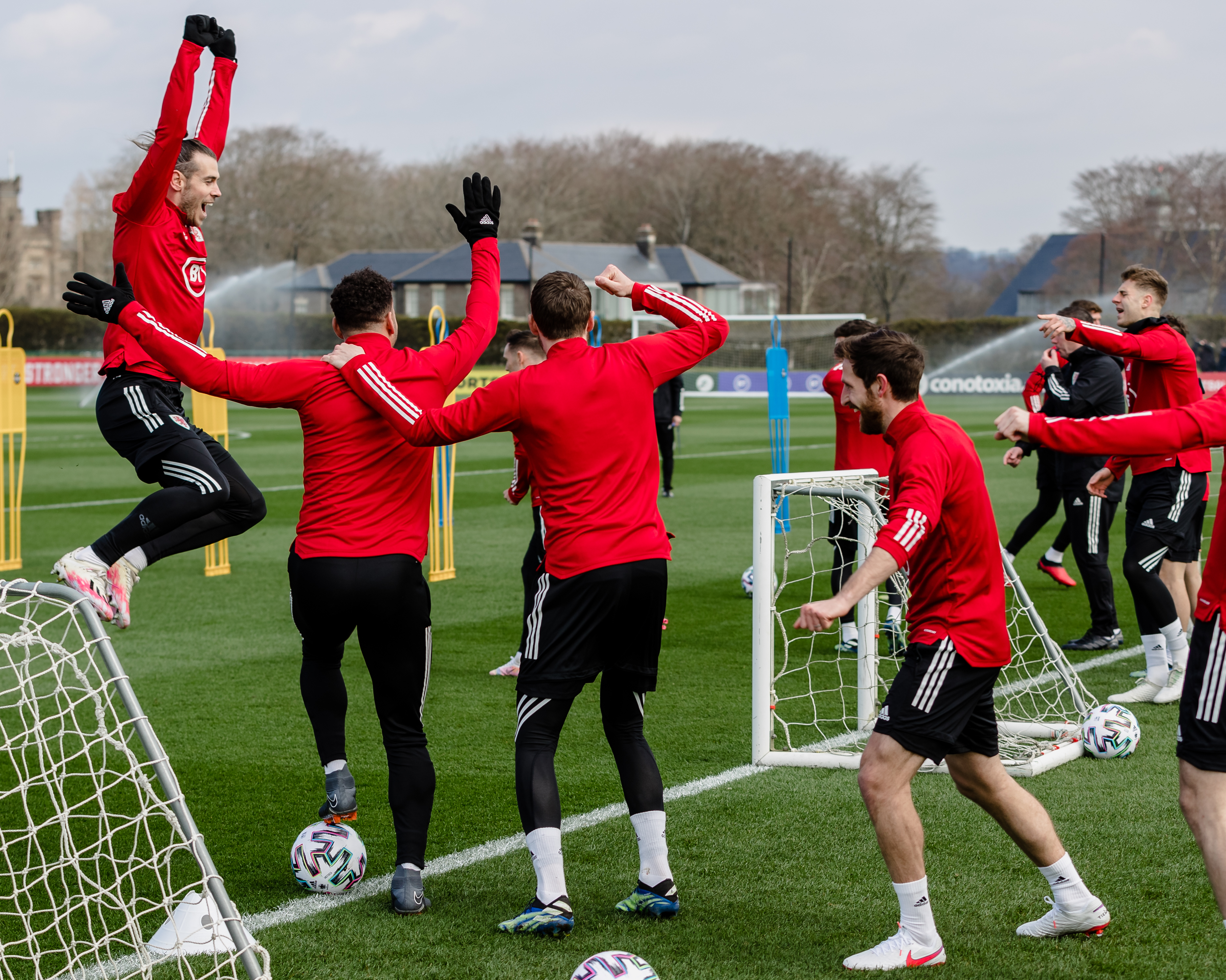 FAW: Fans and Players