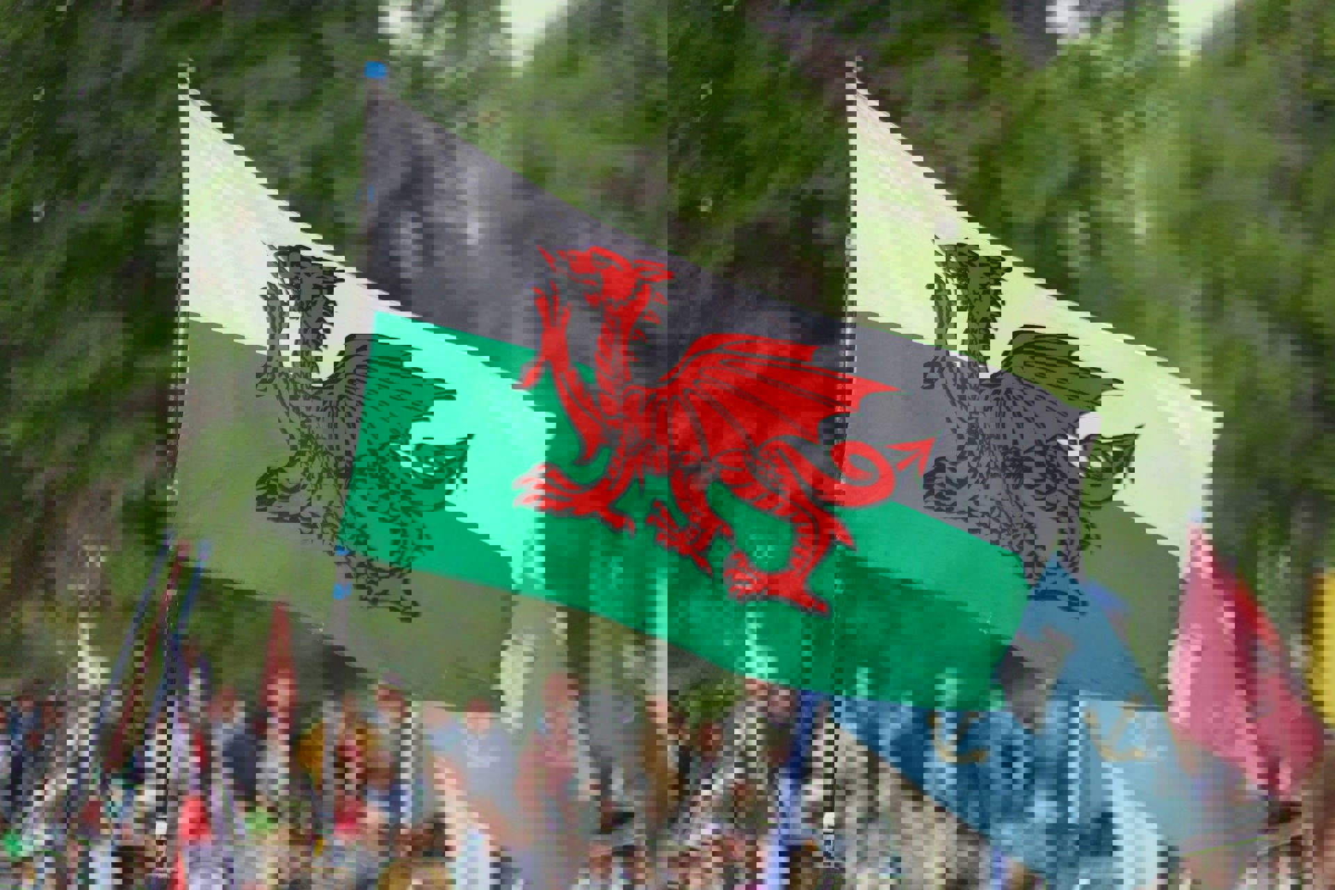 New Learn Welsh programme to support Urdd aim of reaching new audiences